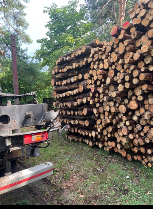 Drewno kominkowe ,opałowe brzoza dab grab buk sosna