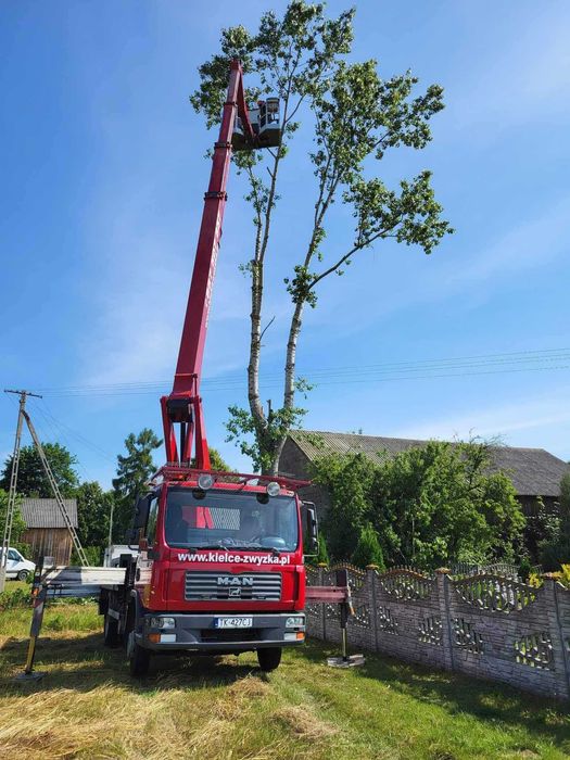 Podnośnik Koszowy Zwyżka Wycinka Drzew Gałęzi Wysięgnik Montaż Reklam