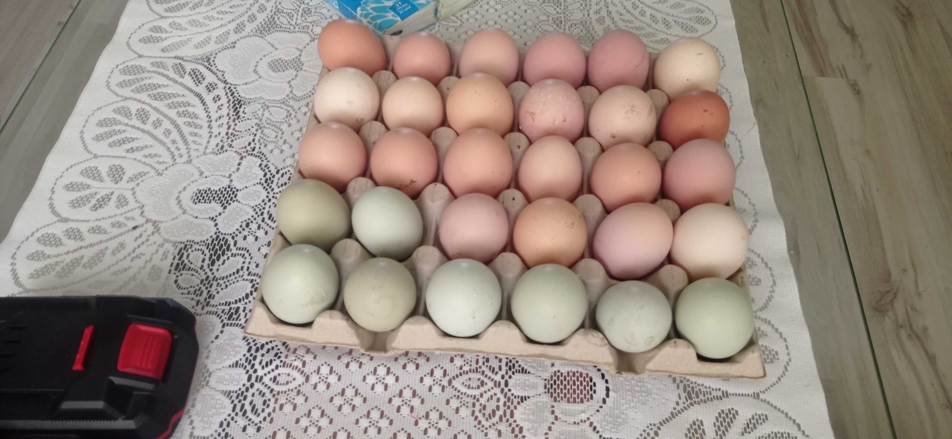 Jajka wiejskie 25zł