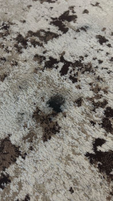 Ковер, палас, килим 5м * 1,5 м