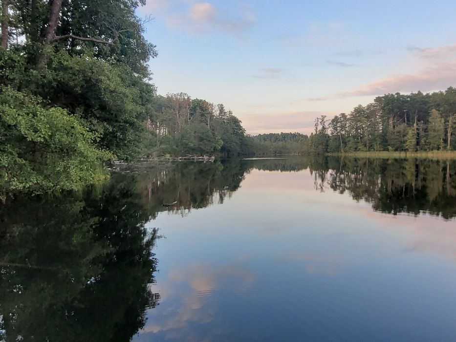 Działka letniskowa Goscim