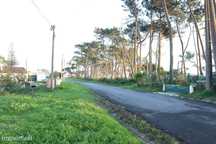 Terreno Rustico