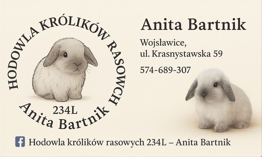 Karzełek Teddy - Metryka - Królik Króliki