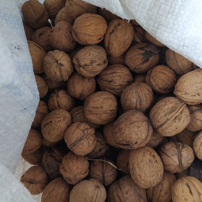 Цьогорічні грецькі горіхи