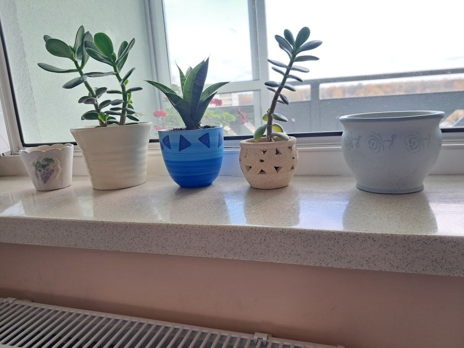 Kwiatek gratis Ceramiczna osłonka na kwiatek doniczkowy