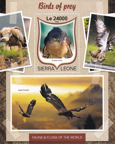 Sierra Leone 2016 cena 4,90 zł kat.8€ - ptaki