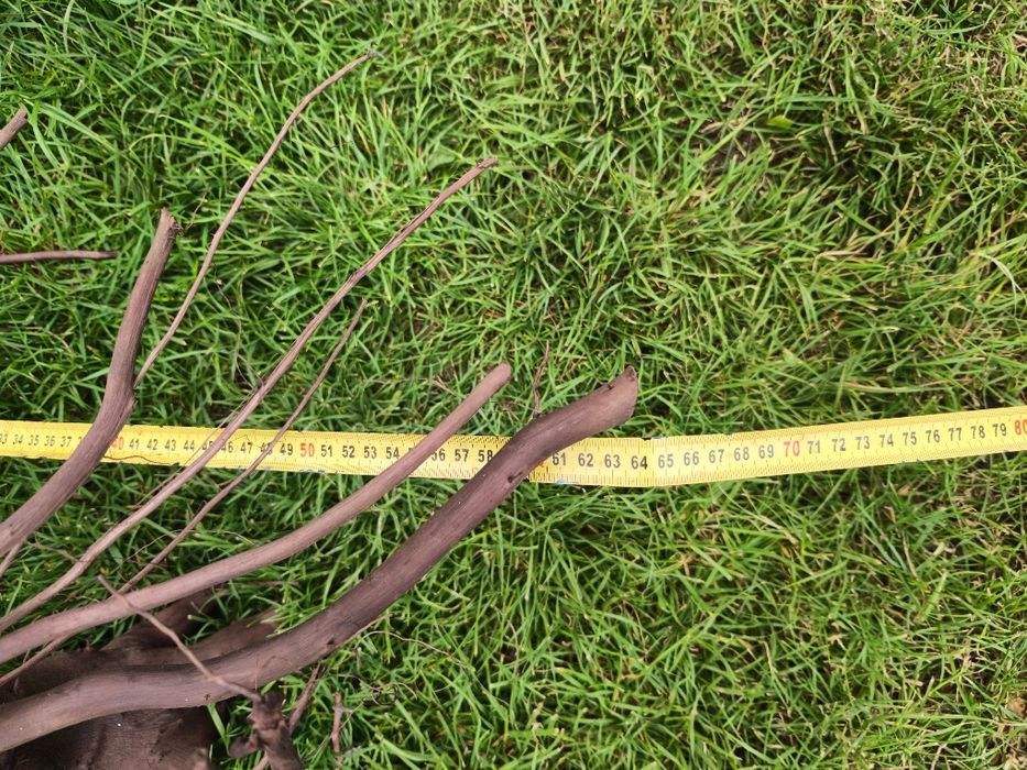 Коряга в аквариум