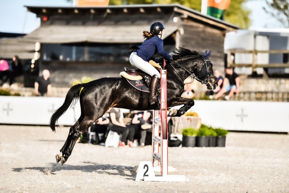 Turbo kucyk grupy E (mały koń) do sportu