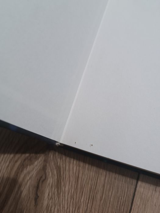 Książka Woodwalkers "Niebezpieczna przyjaźń" Katja Brandis