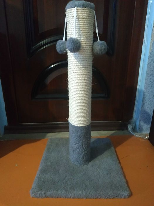Большая когтеточка, новая