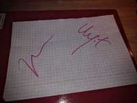 Margot Robbie/Ryan Gosling podpisy