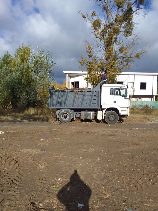 Видалення дерев Корчування пнів Благоустрій.Є послуги ЩЕПОРІЗА