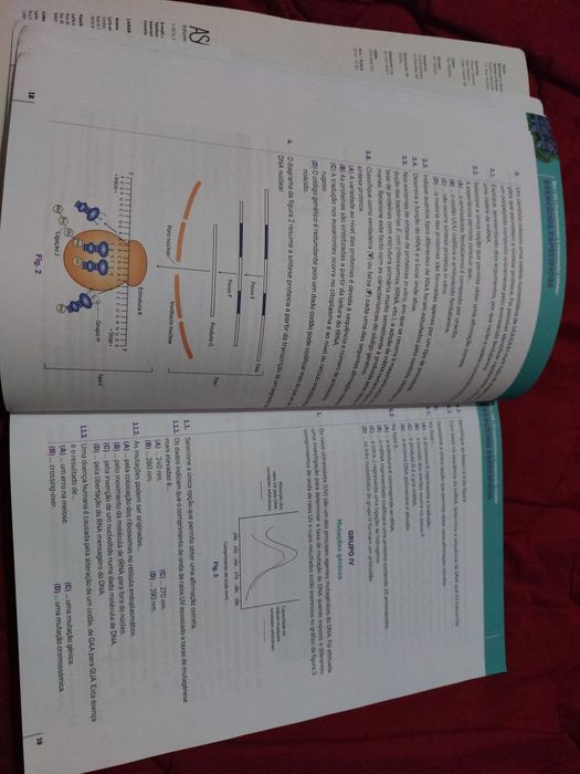 Testes e Exames de Biologia e Geologia 11. Ano