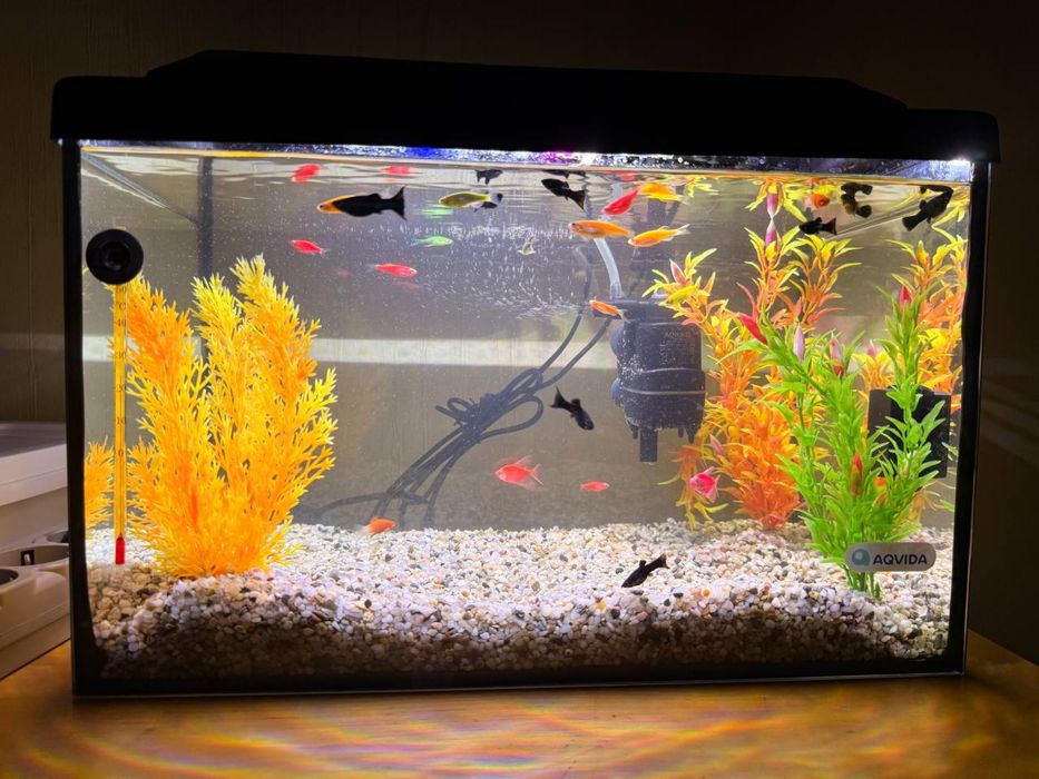 Продам аквариум(комплект) 25л.