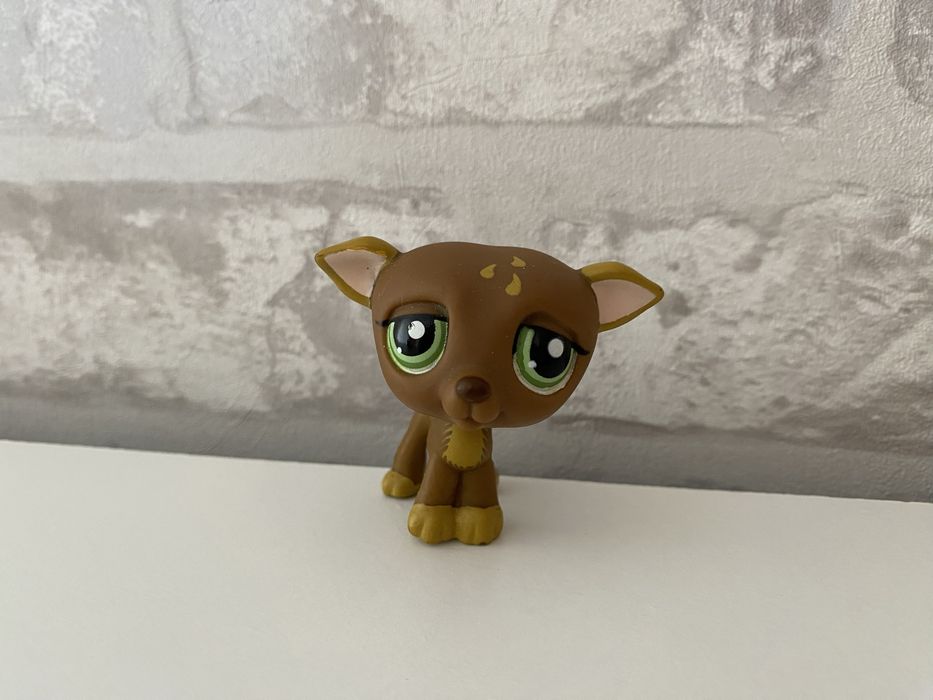 Littlest Pet Shop #1216 | Raro & Autêntico