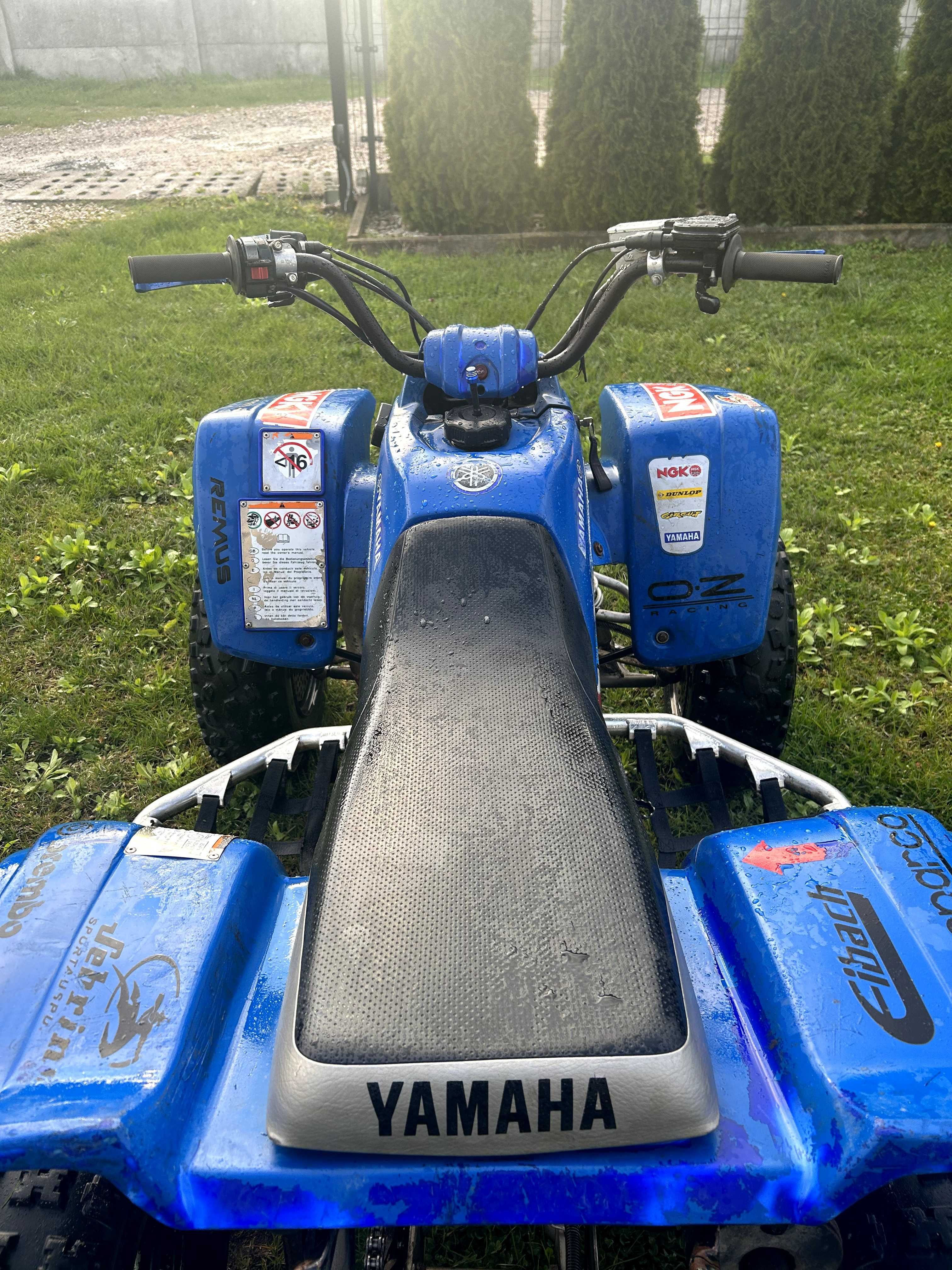 Yamaha blaster 200