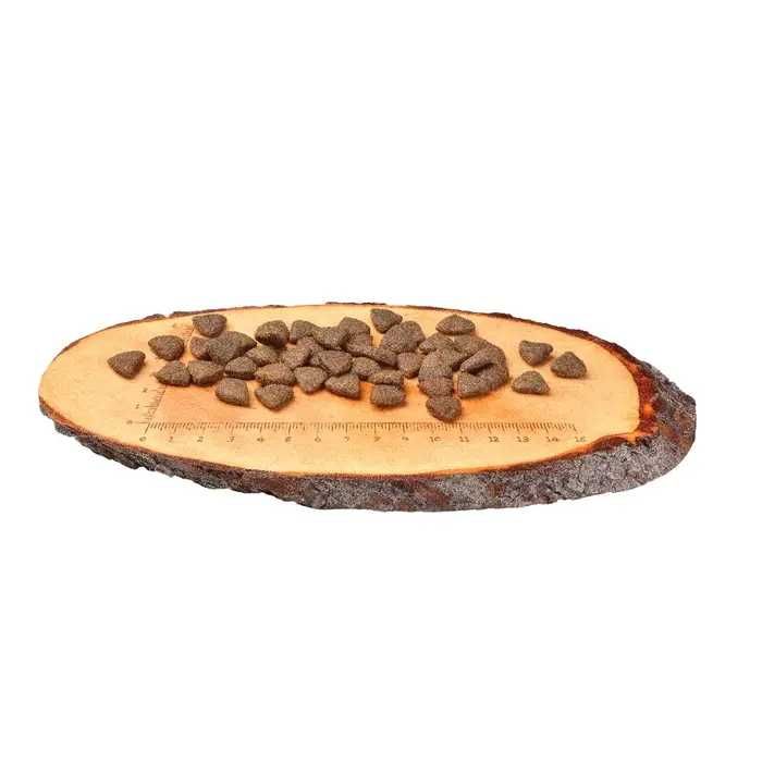 Сухой корм для взрослых собак Carnilove Salmon Adult 12 кг