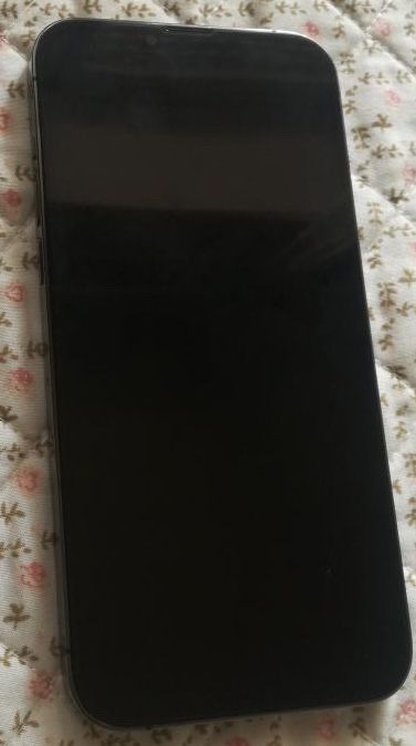 13 pro max 128gb