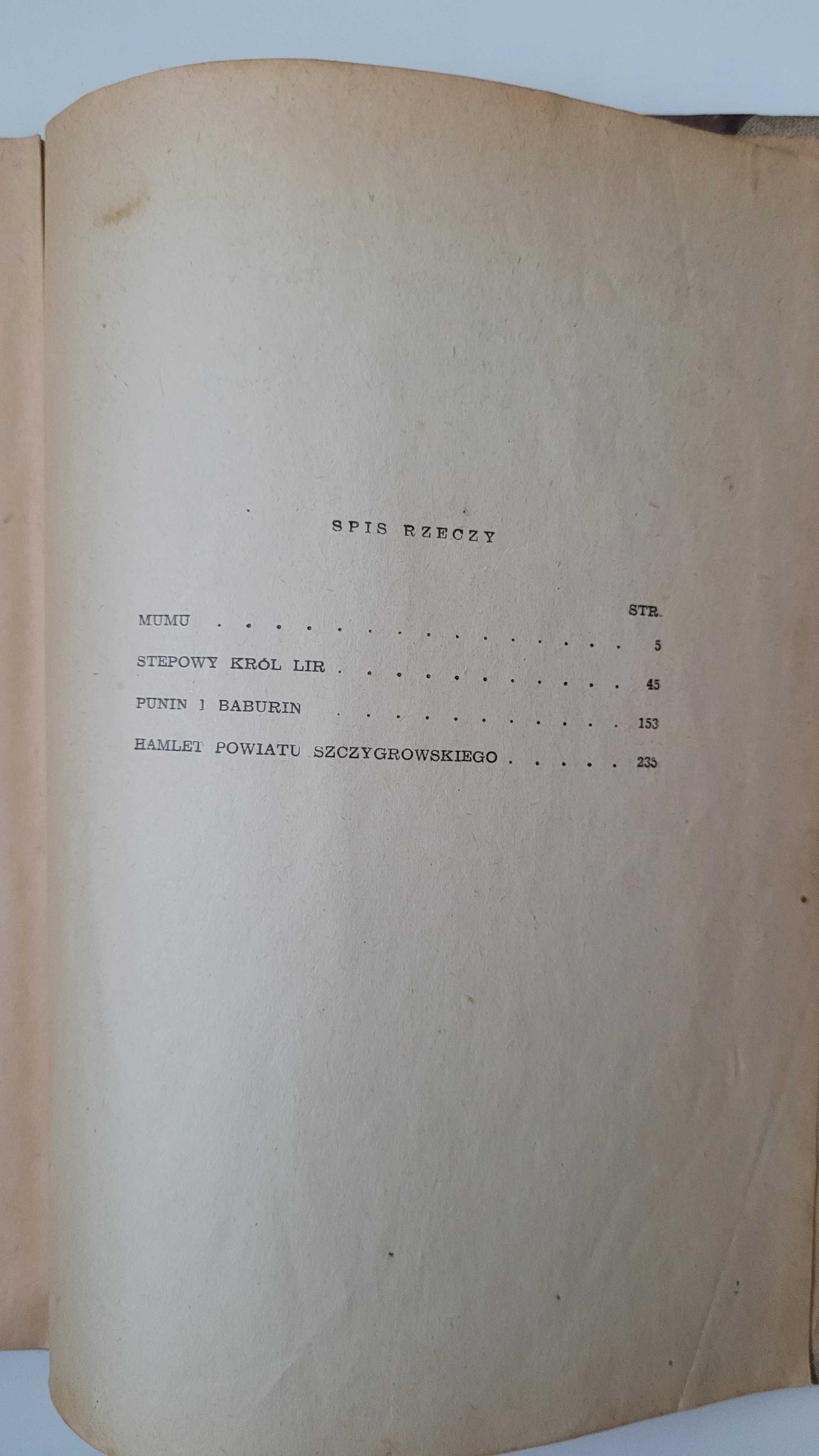 "Mumu i inne opowiadania", Iwan Turgieniew