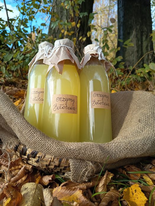Enzymy Bołotowa 3l - oczyszczanie organizmu