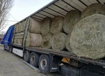 Siano / Sloma w balach / baloty / bale / bele włansy transport