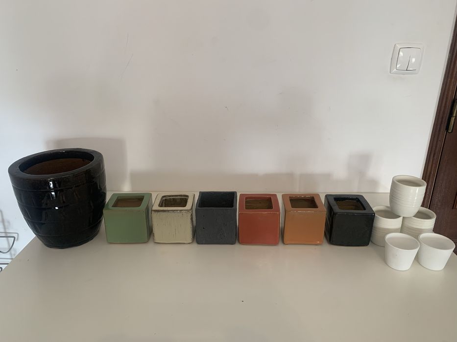 Conjunto com 12 vasos de plantas