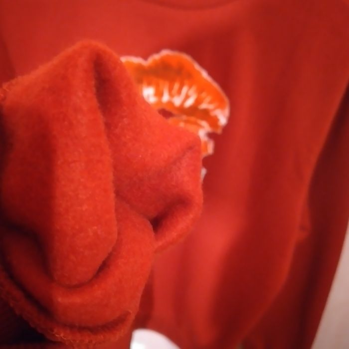 Balmain толстовка свитшот оригинал