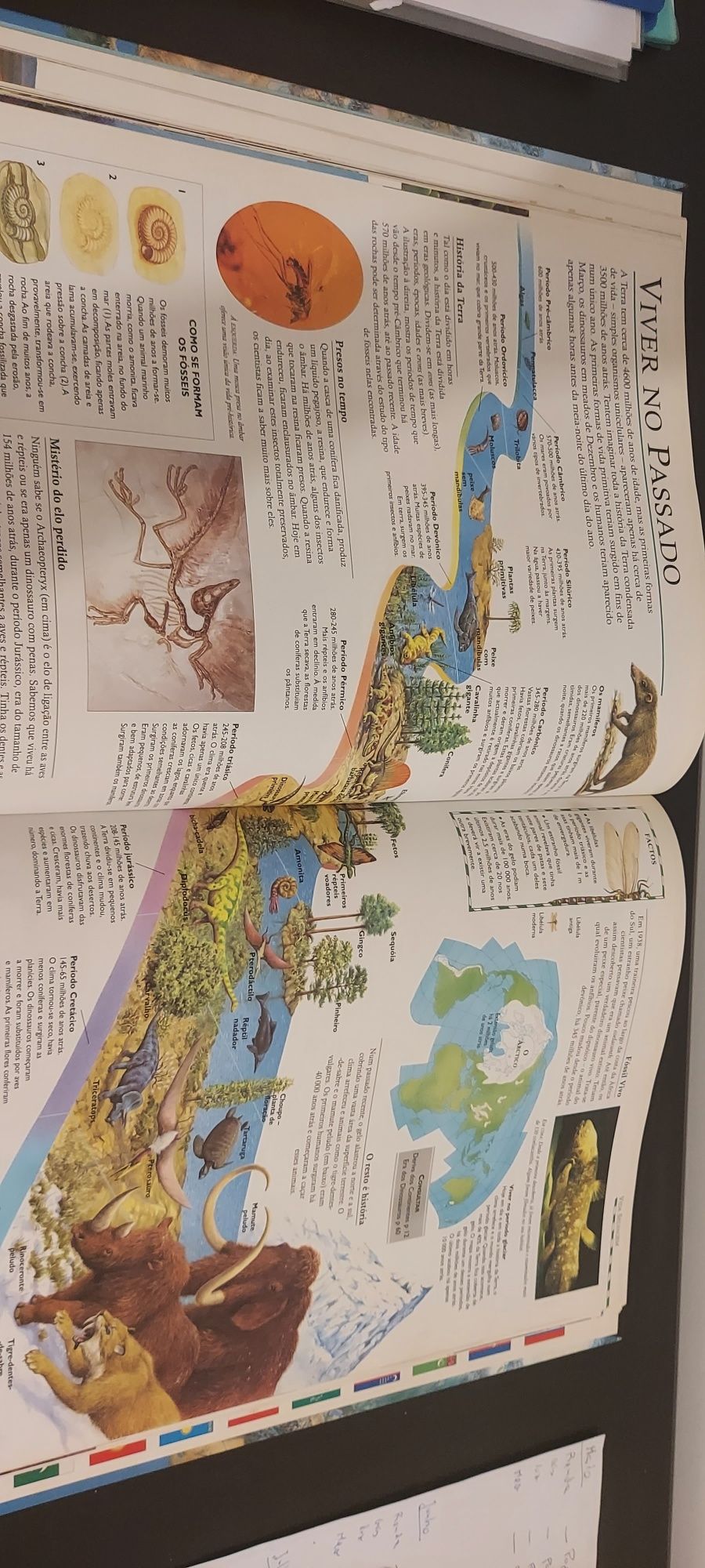 O melhor atlas do mundo