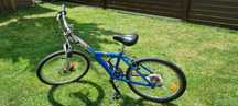 Rower Kross 24 cale