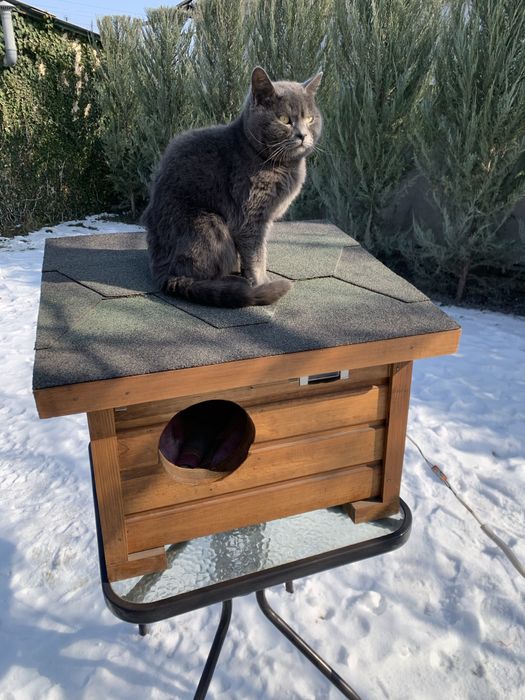 Утепленная будка с подогревом! Для котов и собак. WIFI  управление!