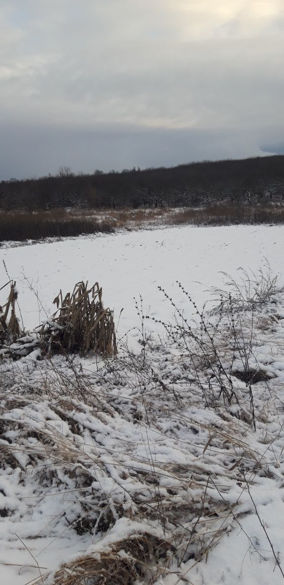 земля под застройку