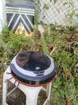 robot aspirador  libero 2.0
