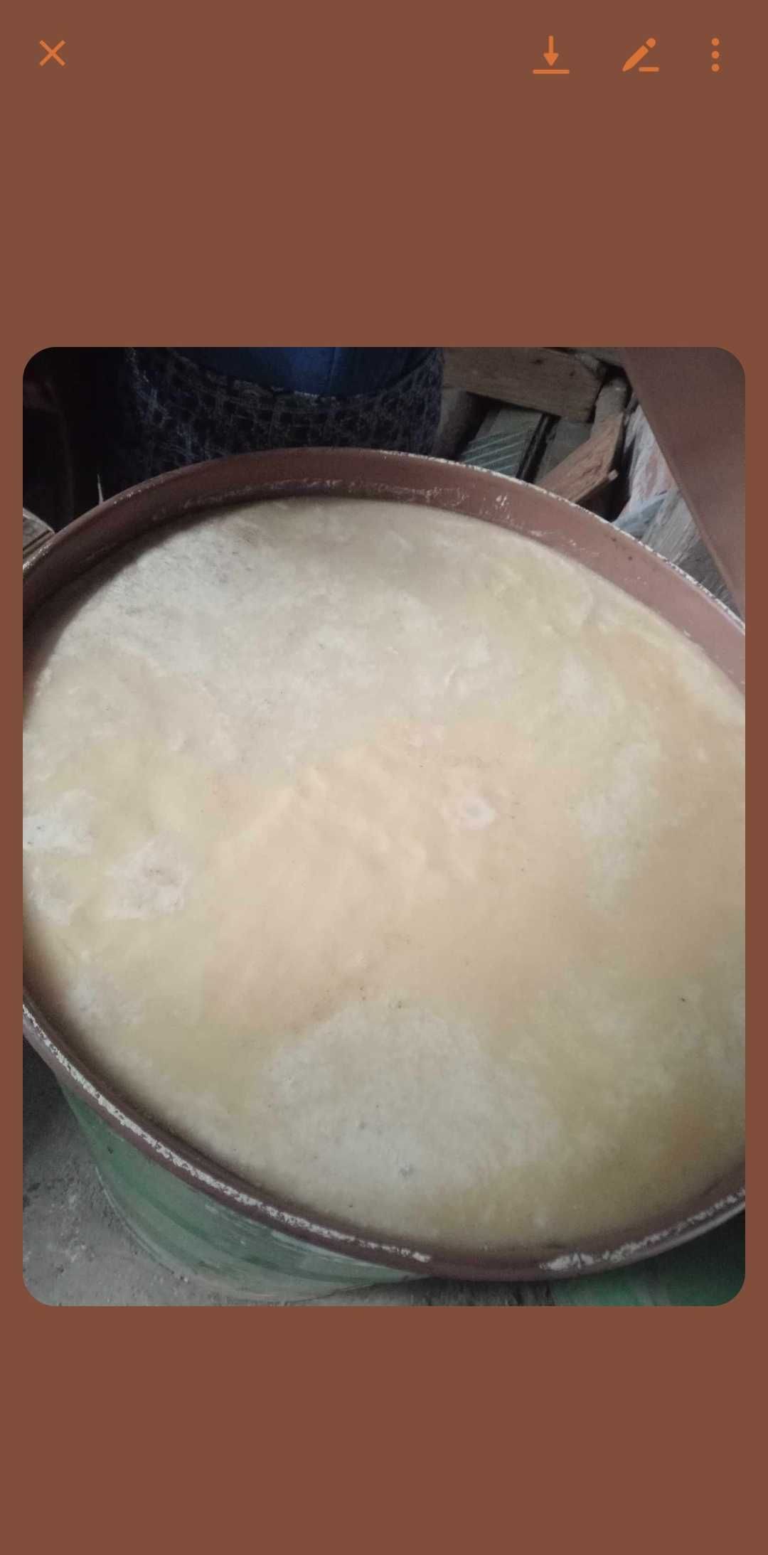 Sprzedam beczkę miodu