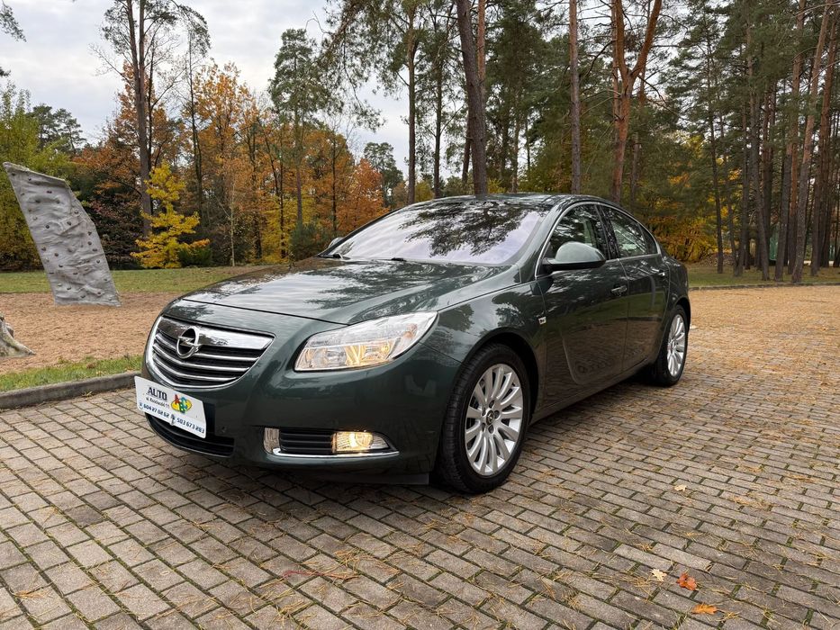 Opel Insignia 4x4 2.0 220 KM ORYGINAŁ KM Super Stan Super Wyposażenie