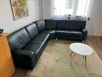 Skórzana kanapa sofa + fotel