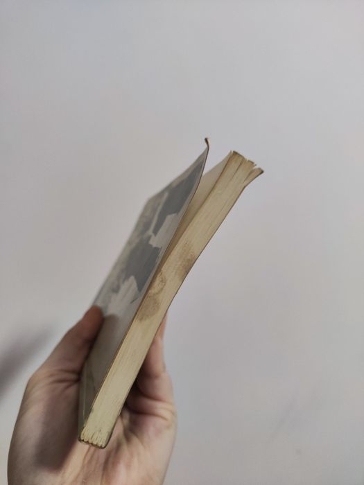 Speak English Fluently book 2 Ona Low