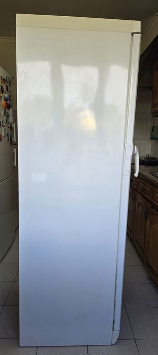 Arca frigorífica vertical electrolux