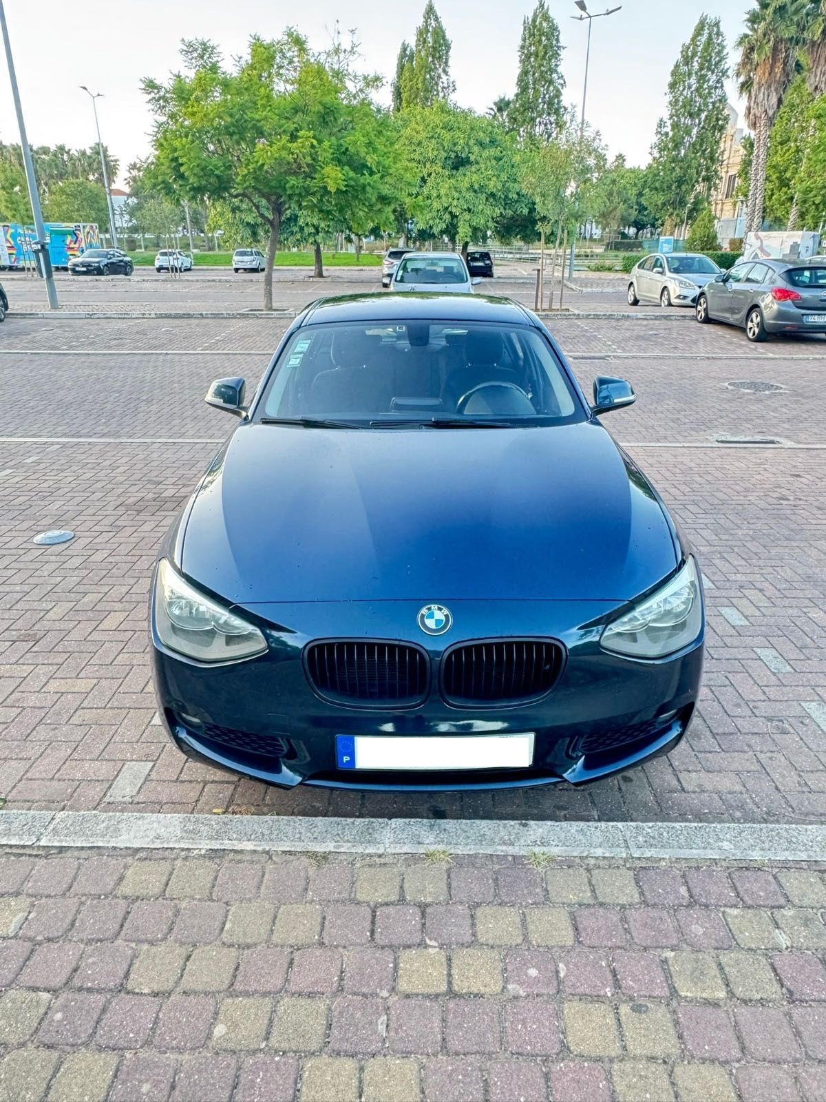 BMW 116 Efficient Dynamic