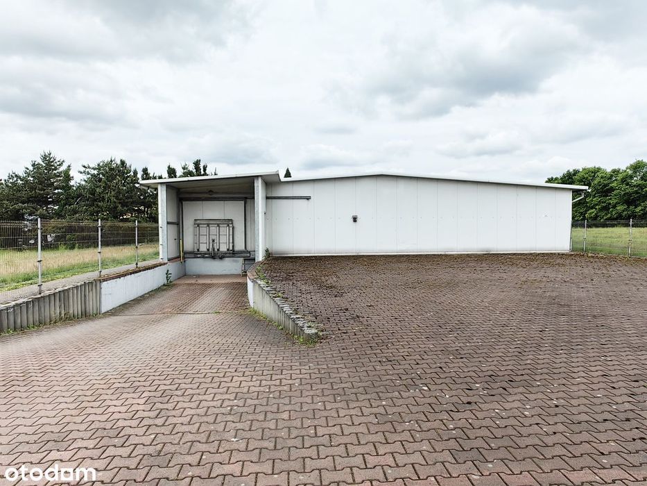 MAGAZYN/CHŁODNIA z rampą + działki