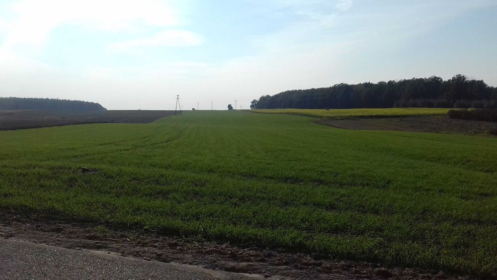 Sprzedam działkę budowlaną Kaleń / Rawa Mazowiecka
