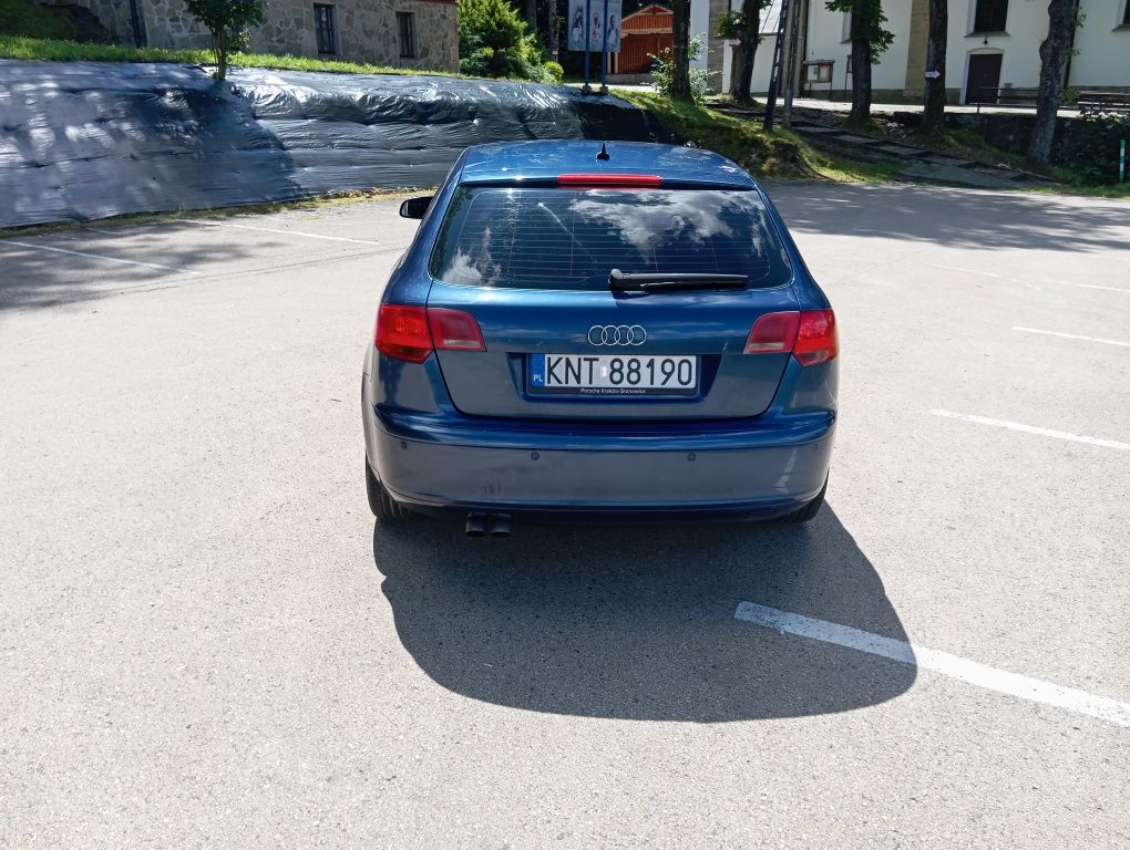 Audi A3 8p 2.0Tdi