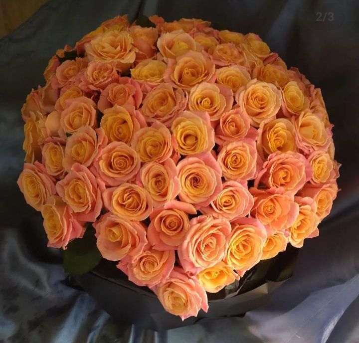 Дешево букет з 51, 101, 201 троянди (рози)