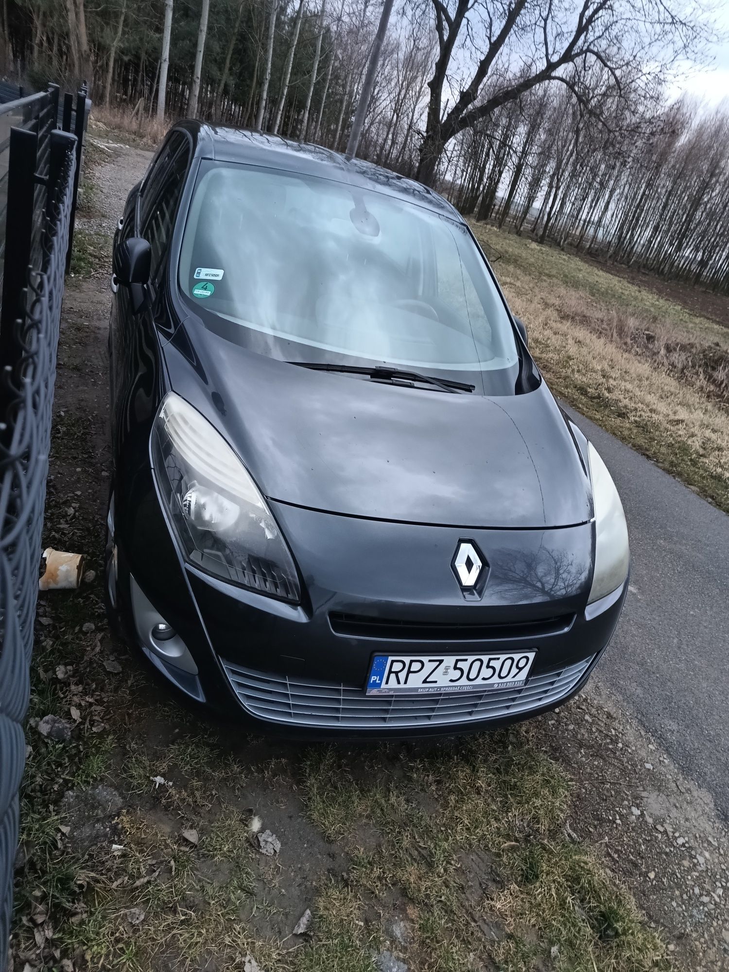 Renault Megane scenic