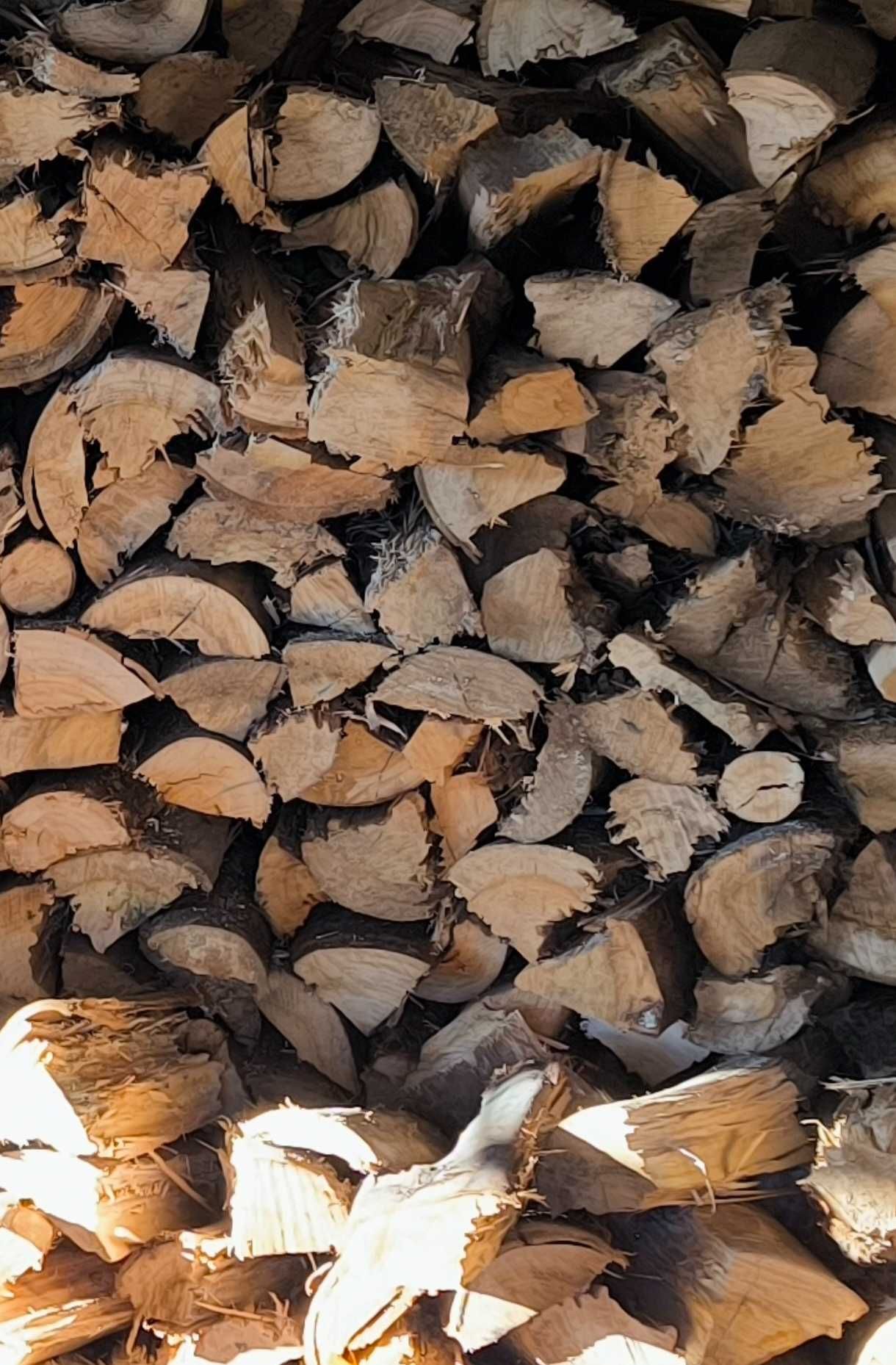 Lenha eucalipto para salamandras e lareiras