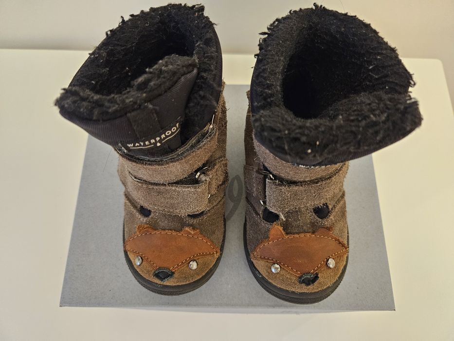 Mrugała Mali fox grey rozm. 23