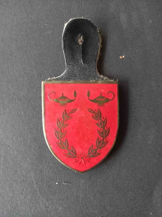 Crachás militares - Coleção - C