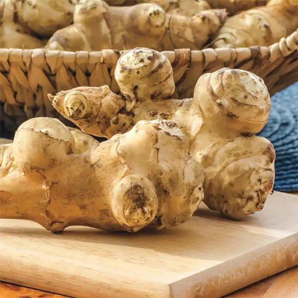 Продам топинамбур свежий