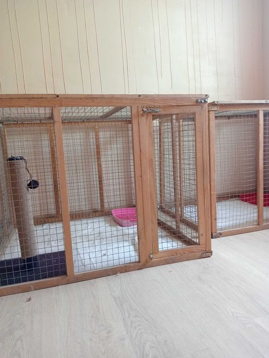 Перетримка котиків