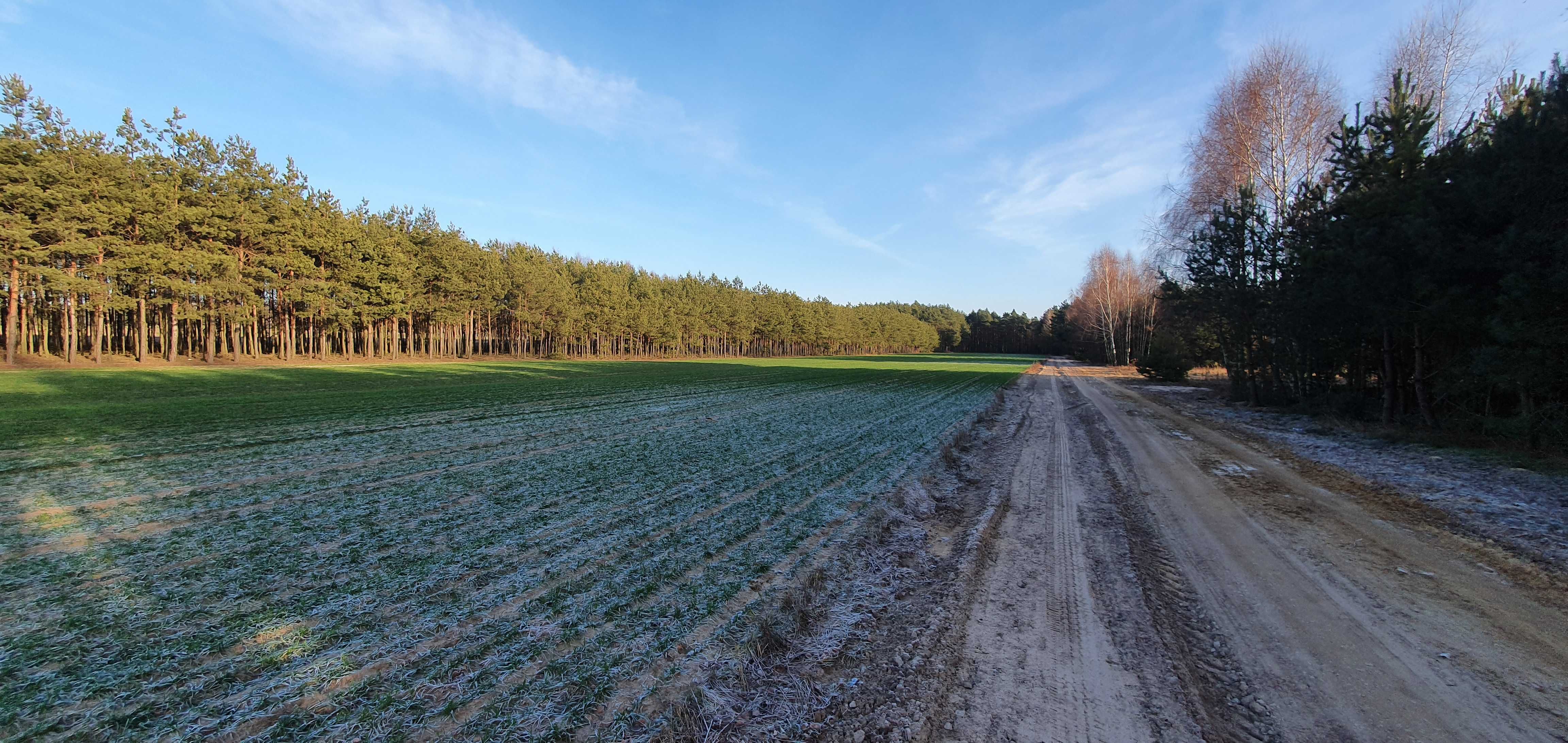 Działka budowlana Cicha i spokojna okolica Działki budowlane