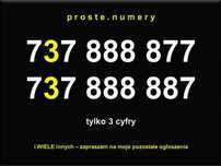Prosty złoty numer proste złote numery SIM para zestaw firma VAT 23%